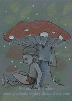 Under the Toadstoole